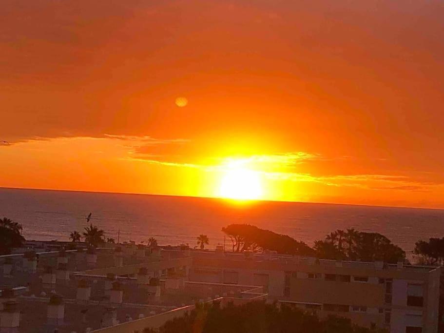 Appartement Vue Mer Au Lavandou Le Lavandou Zewnętrze zdjęcie