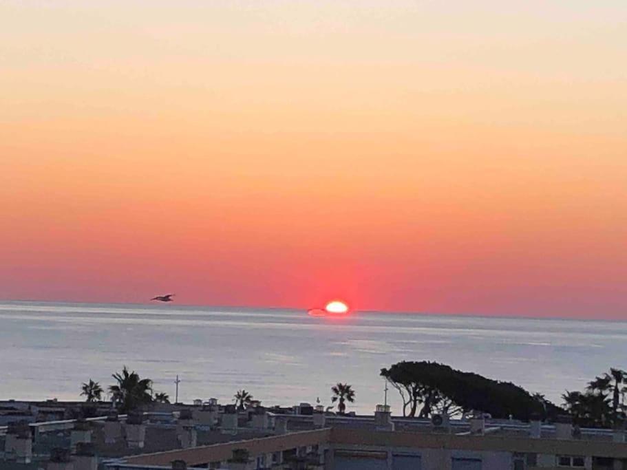 Appartement Vue Mer Au Lavandou Le Lavandou Zewnętrze zdjęcie